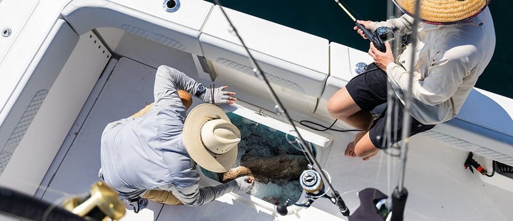 Pescando a bordo del Aquila 47 Molokai