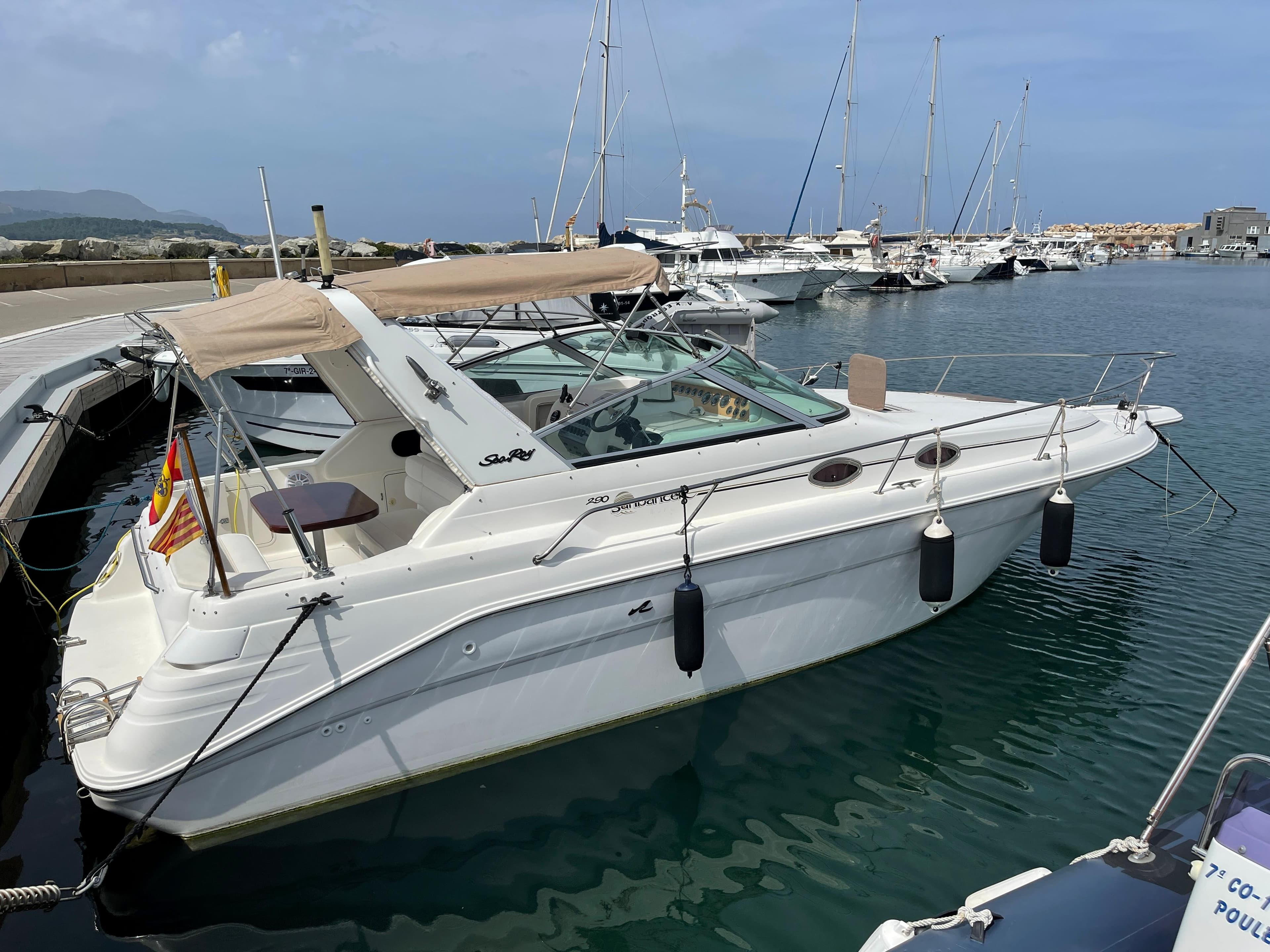 Sea Ray 290 Sundancer · 2