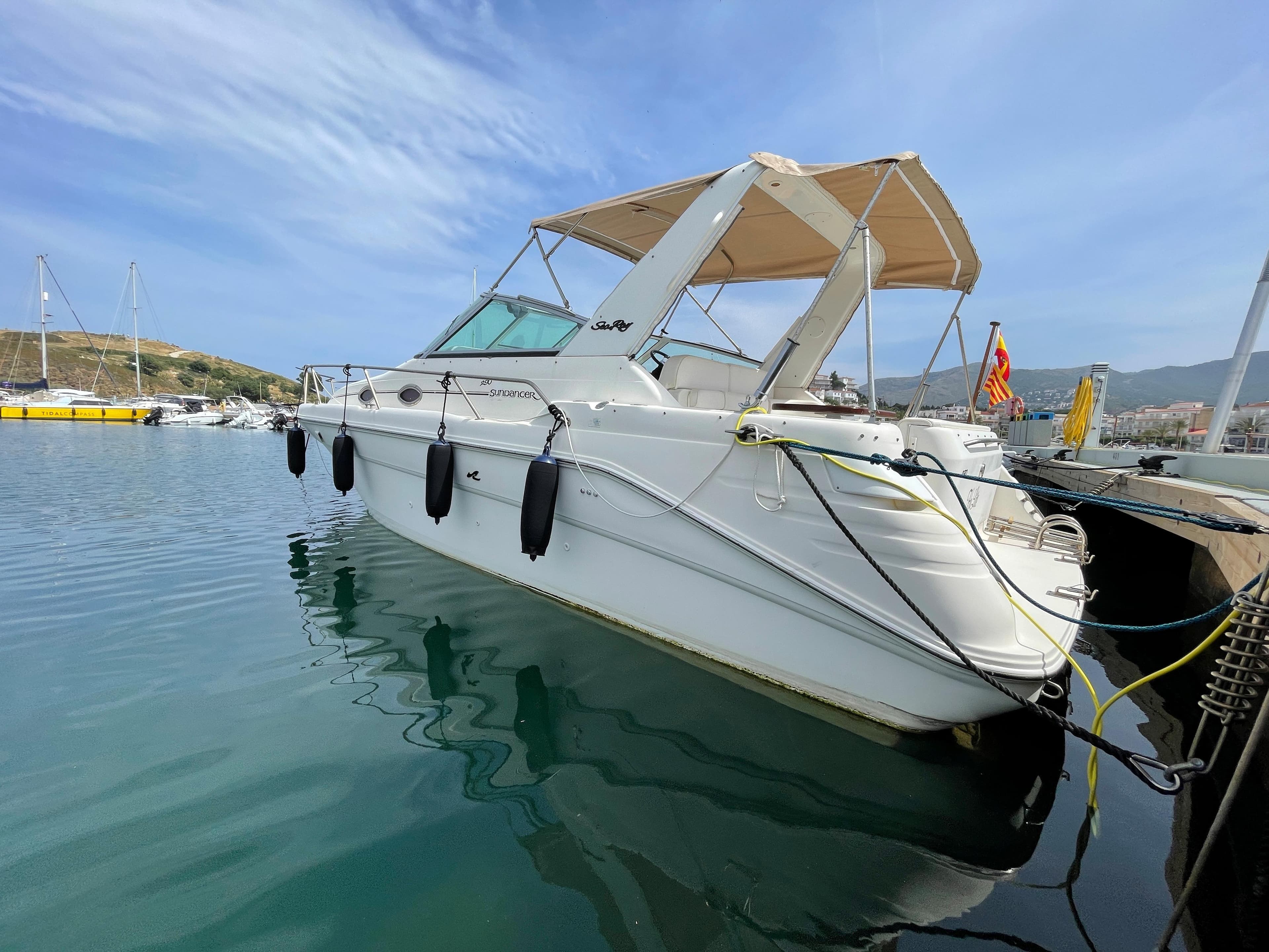 Sea Ray 290 Sundancer · 6