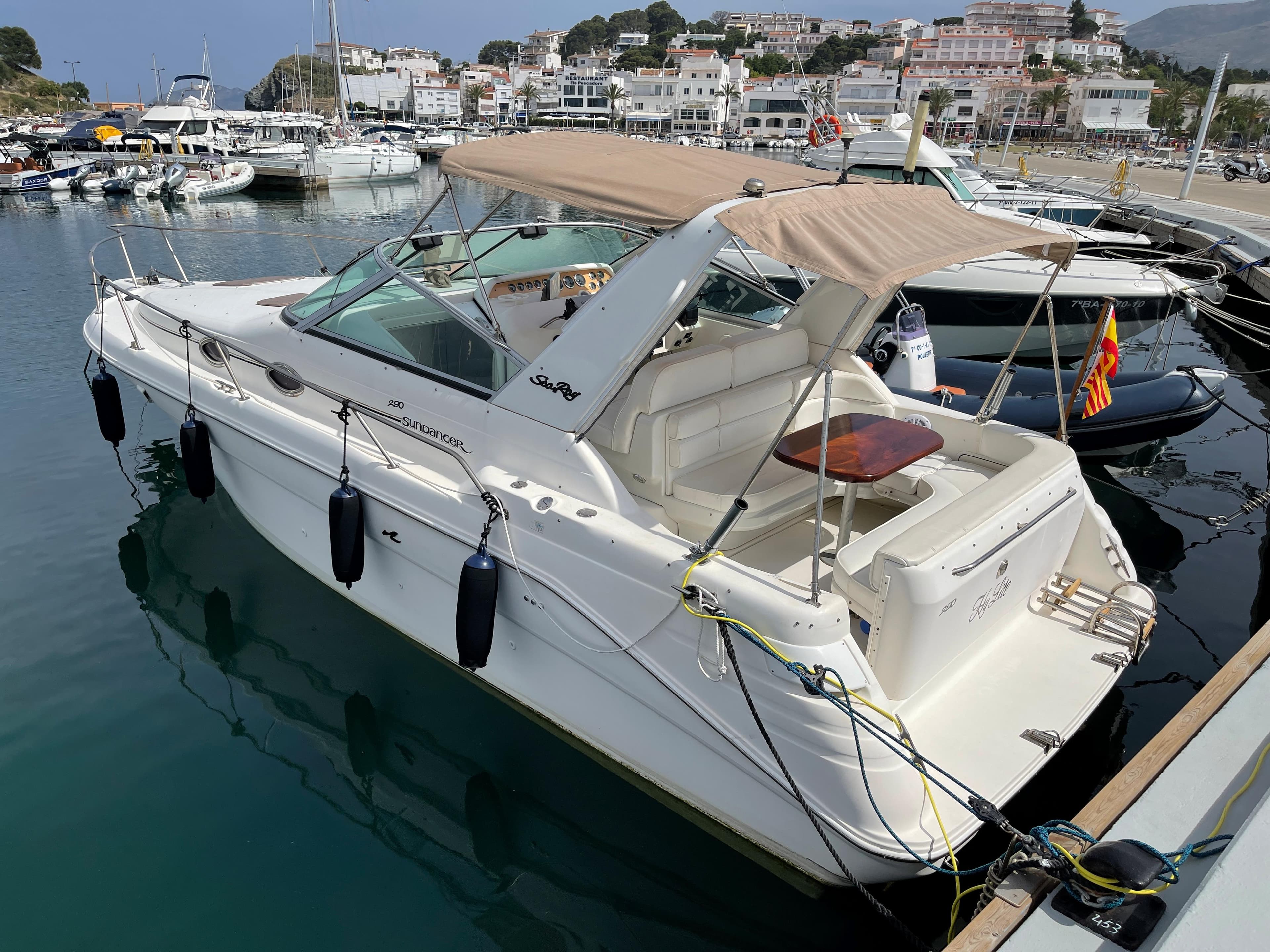 Sea Ray 290 Sundancer · 7