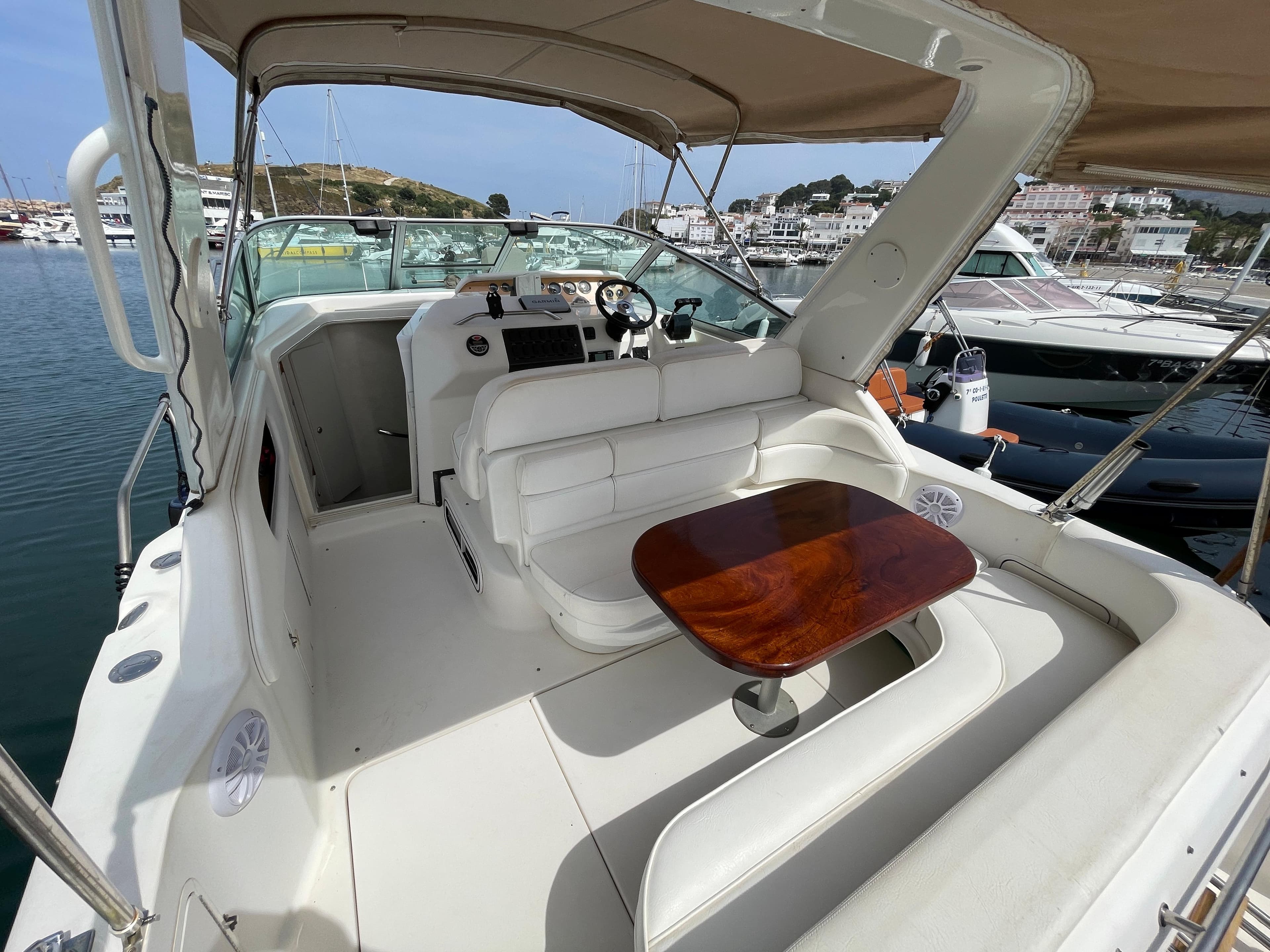Sea Ray 290 Sundancer · 9