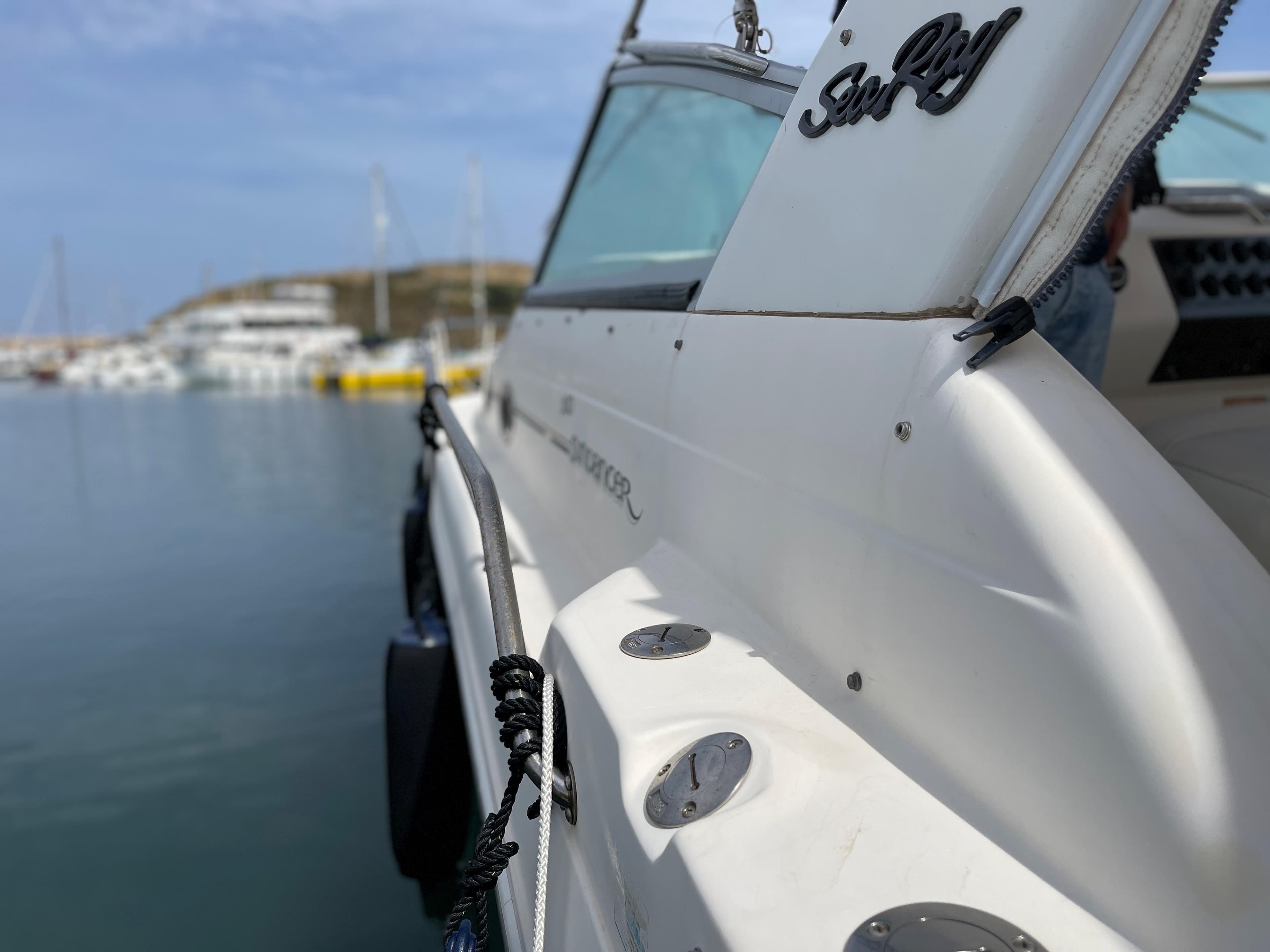 Sea Ray 290 Sundancer · 39