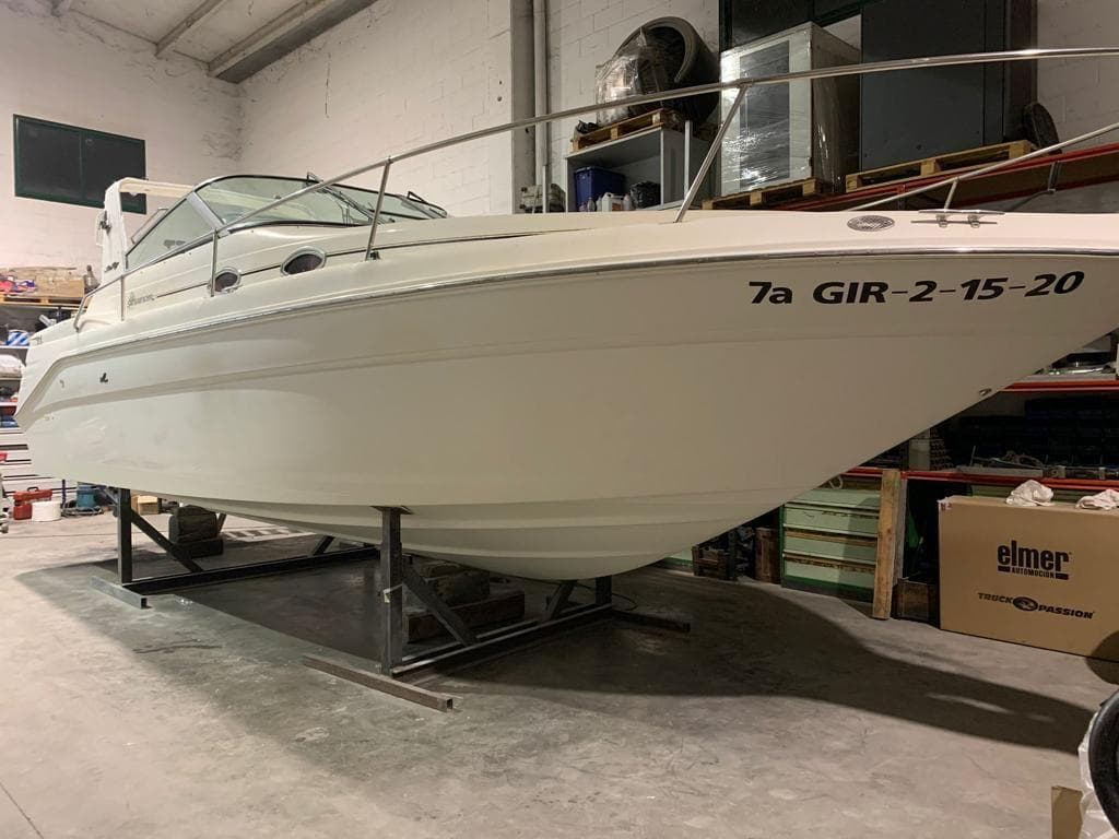 Sea Ray 290 Sundancer · 45